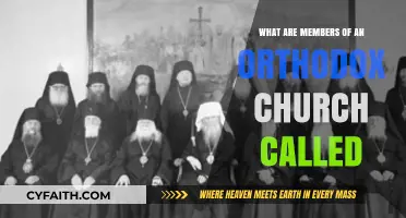 Understanding Orthodox Church Members: Their Unique Titles and Identities