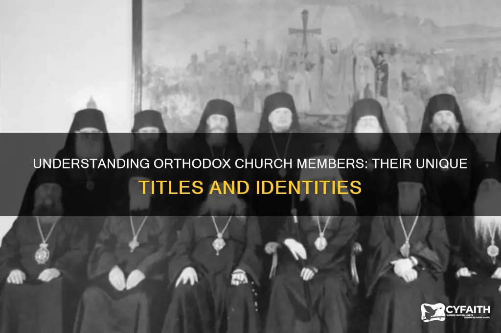 what are members of an orthodox church called
