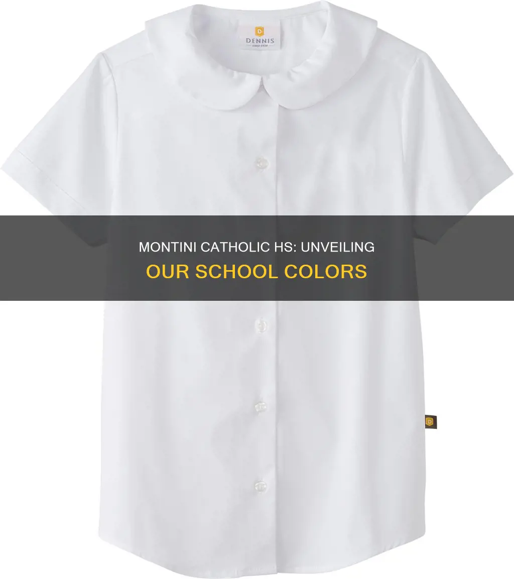 what are montini catholic hs colors