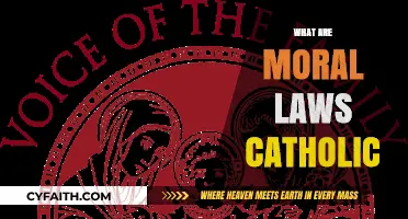 Understanding Catholic Moral Laws: Principles, Teachings, and Ethical Guidance