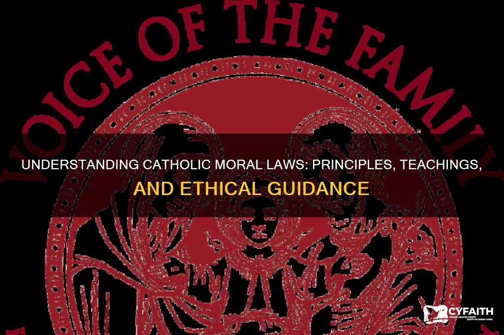 what are moral laws catholic