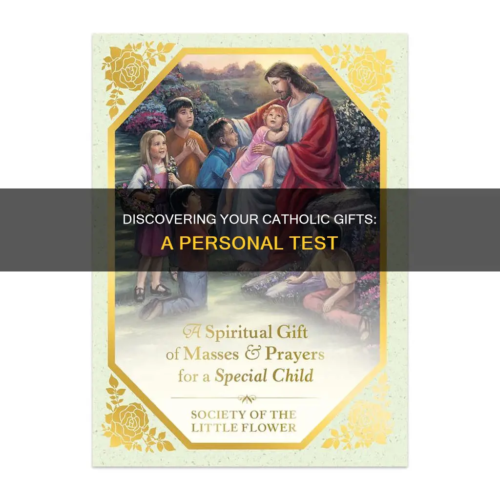 what are my gifts test catholic