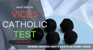 Vices: A Catholic's Guide to Self-Discovery and Growth