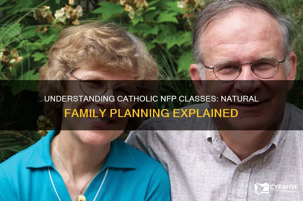 what are nfp classes catholic