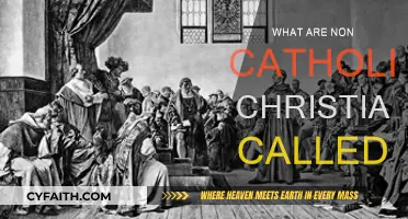 Who Are Non-Catholic Christians?