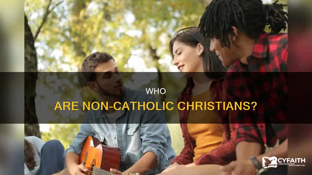 what are non catholic christians called