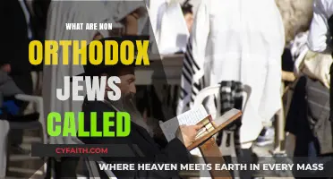 Understanding Non-Orthodox Jewish Identities: Names and Communities Explained