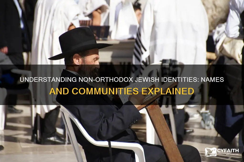 what are non orthodox jews called