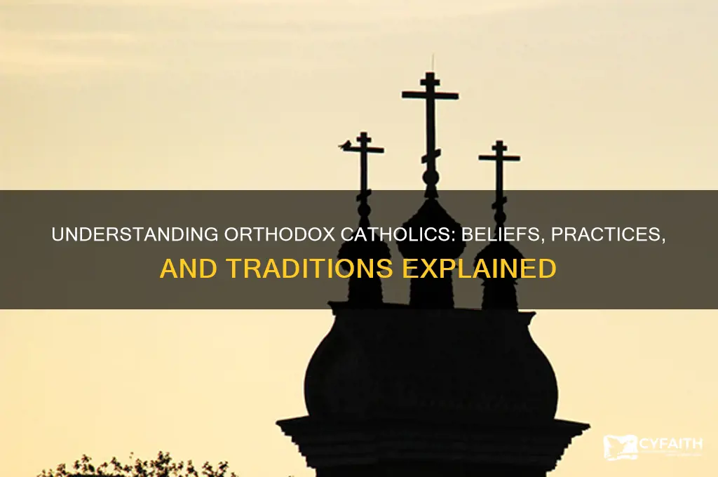 what are orthodox catholics