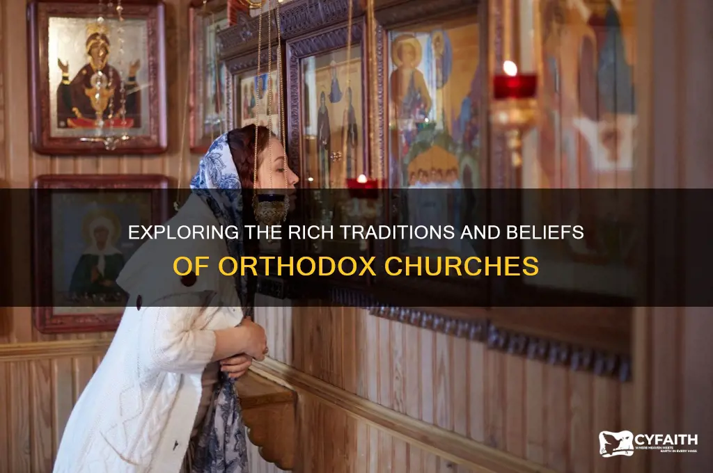 what are orthodox churches
