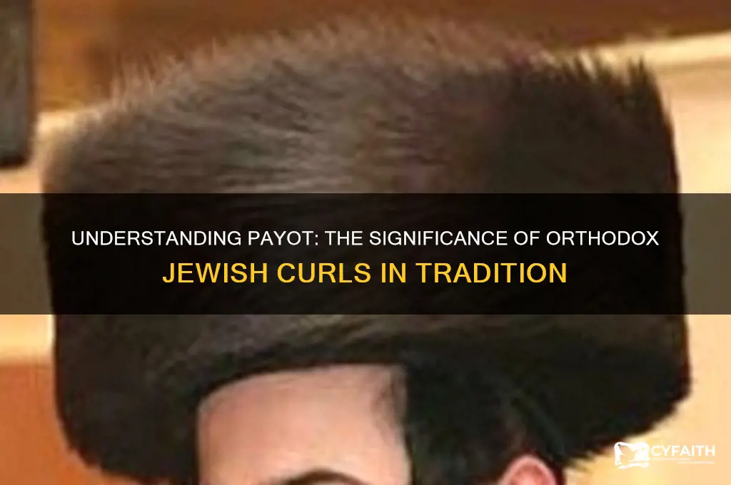 what are orthodox jew curls called
