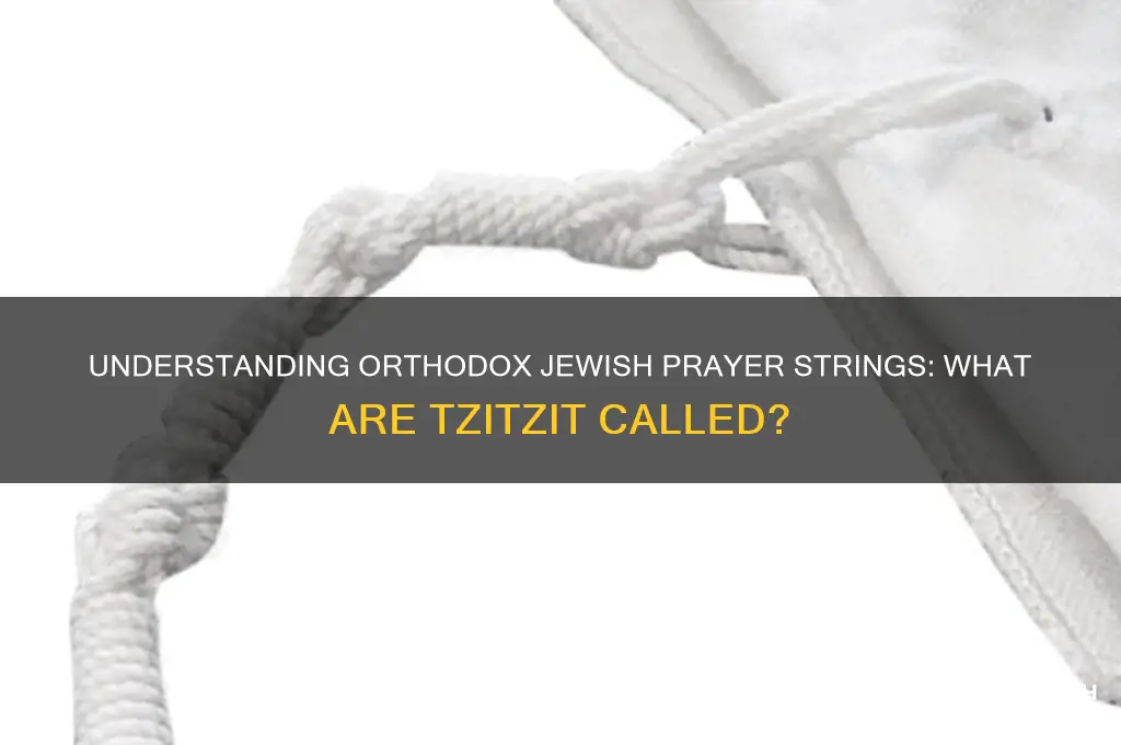 what are orthodox jew prayer strings called