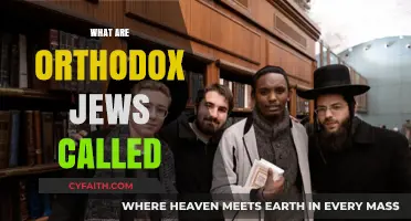Understanding Orthodox Jewish Identities: Names, Terms, and Their Meanings