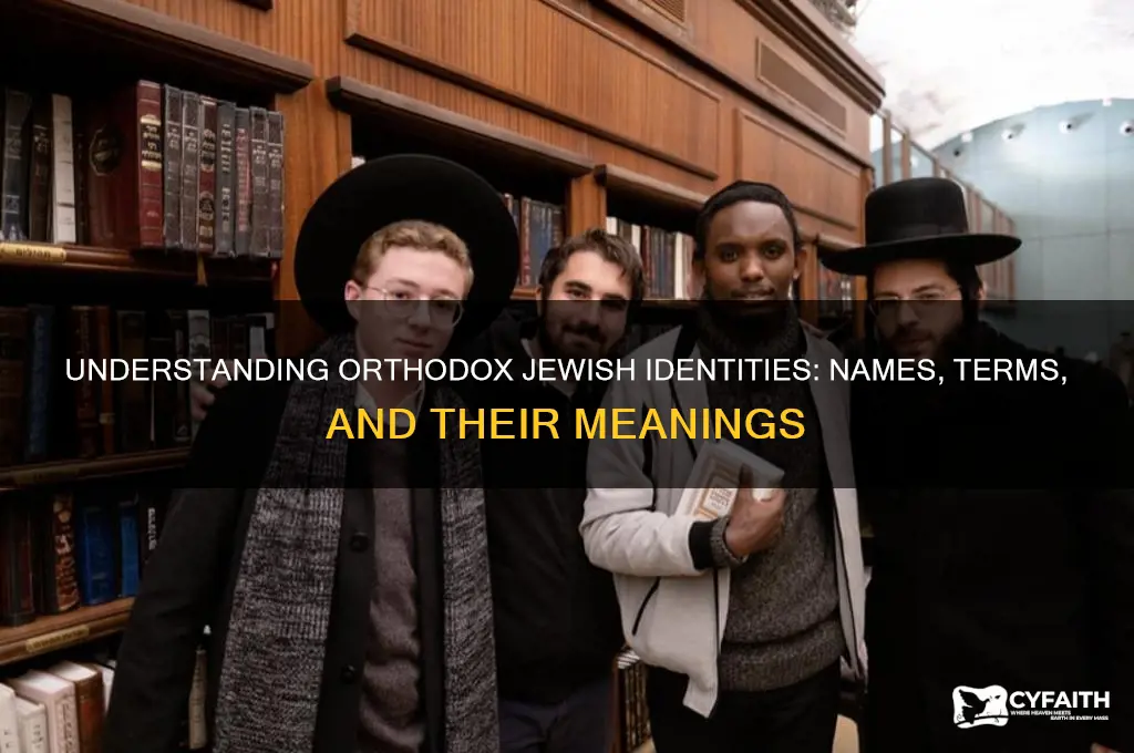 what are orthodox jews called
