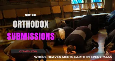 Understanding Orthodox Submissions: Key Principles and Practices Explained