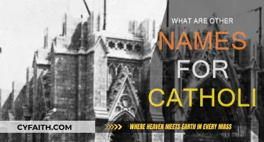 Different Names for Catholics and Their Meanings