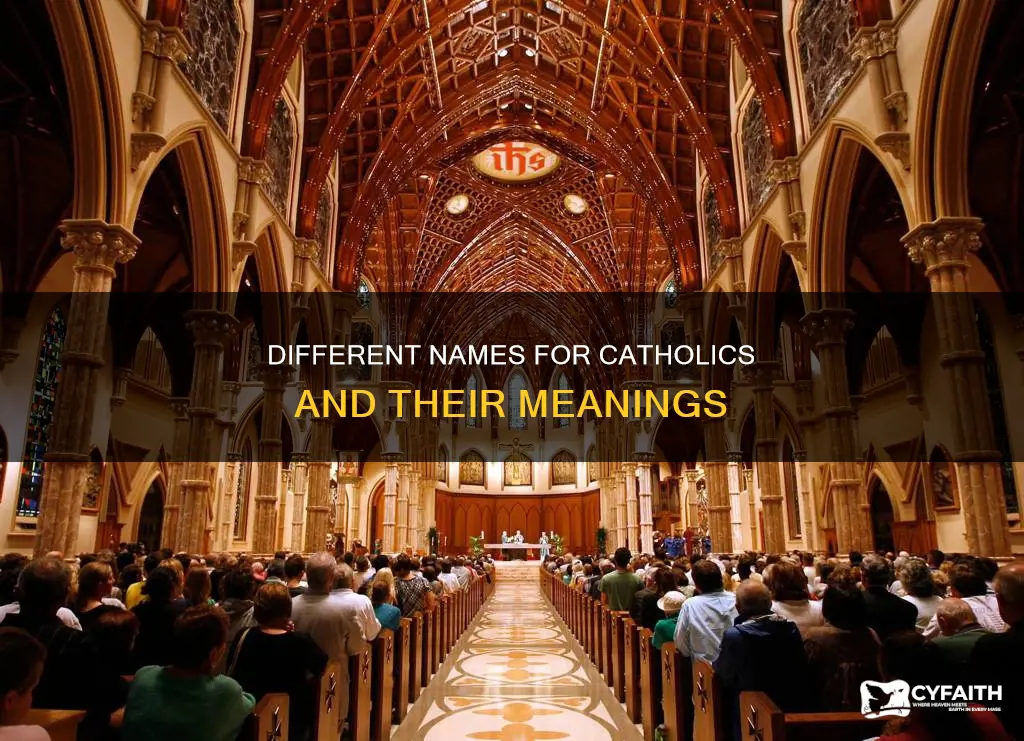 what are other names for catholic