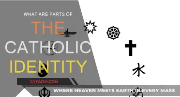 Exploring the Core of Catholic Identity
