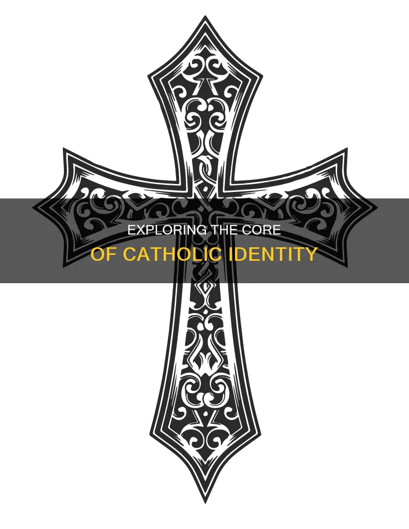 what are parts of the catholic identity