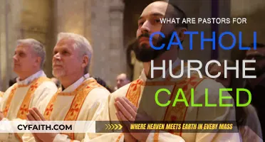 Who Leads Catholic Churches? Understanding the Role of Priests