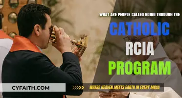 Understanding RCIA: The Journey and Names of Catholic Initiates