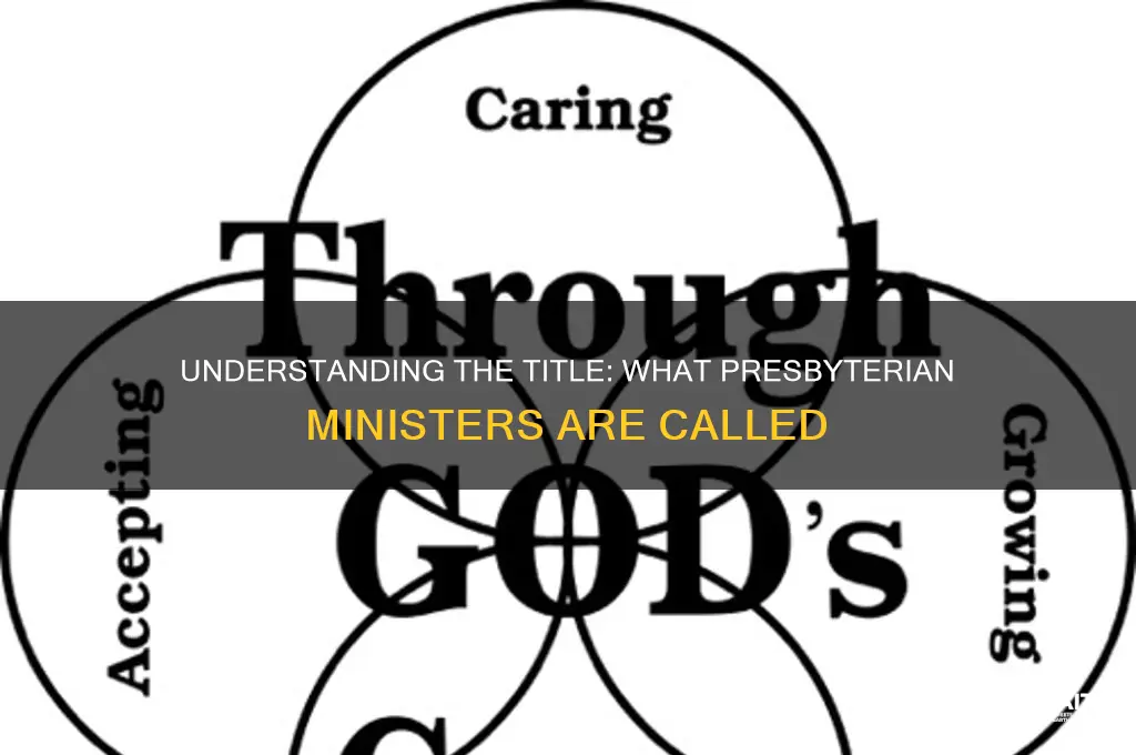 what are presbyterian ministers called