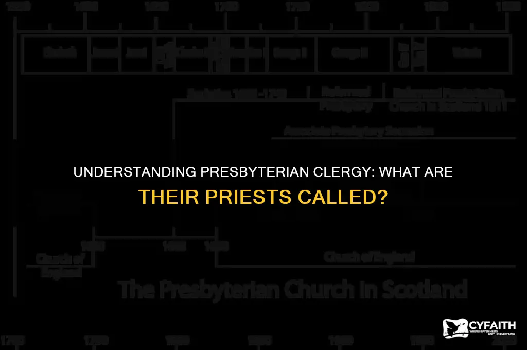 what are presbyterian preists called