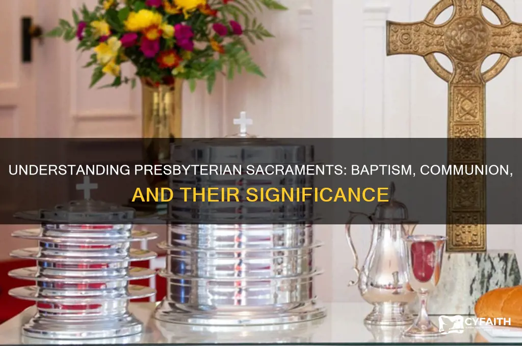 what are presbyterian sacraments