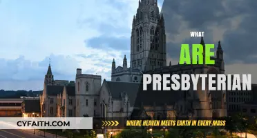 Understanding Presbyterian Beliefs, Practices, and Church Structure Explained