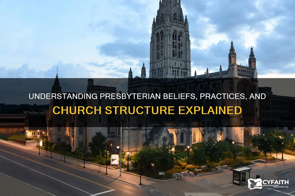 what are presbyterian