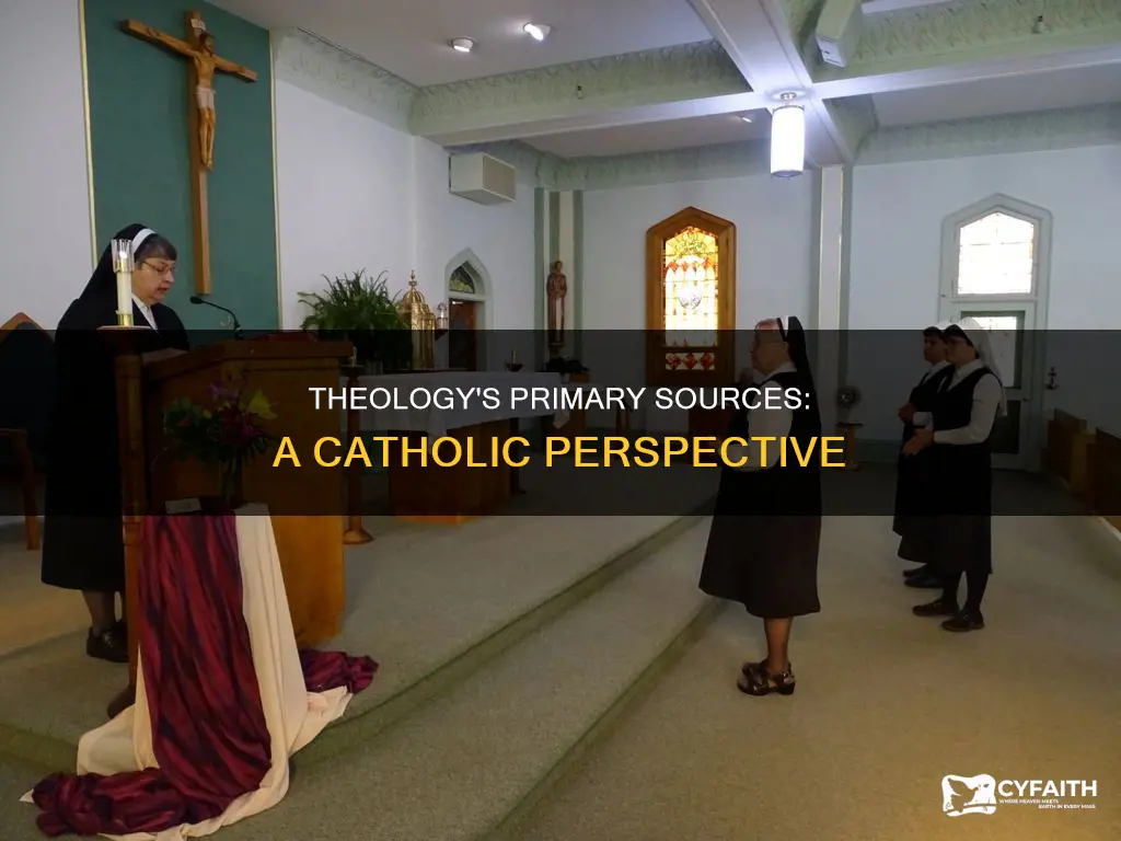 what are primary sources in theology catholic