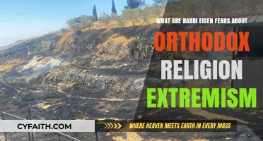 Rabbi Eisen's Concerns: Orthodox Extremism's Impact on Jewish Unity