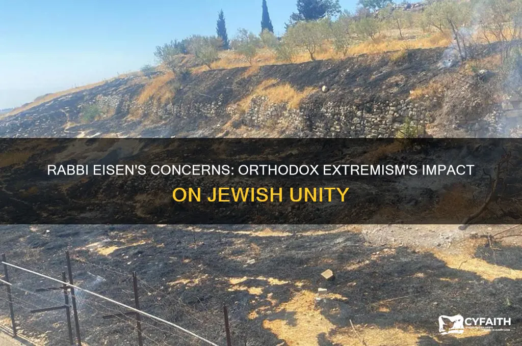 what are rabbi eisen fears about orthodox religion extremism