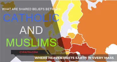 Catholics and Muslims: Shared Beliefs and Common Ground