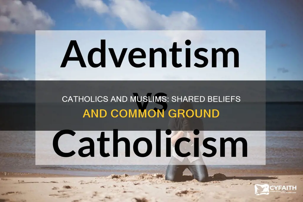 what are shared beliefs between catholics and muslims