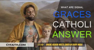 Discovering Signal Graces: Catholic Answers to Divine Signs