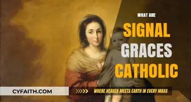 Understanding Signal Graces in Catholic Spirituality: A Comprehensive Guide