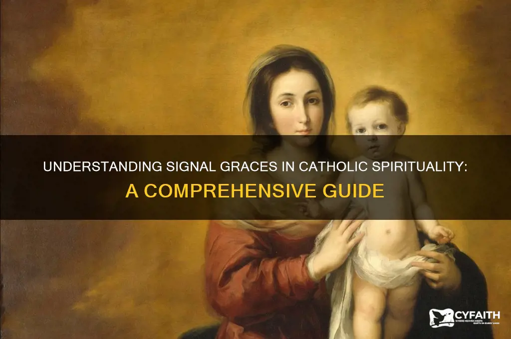 what are signal graces catholic