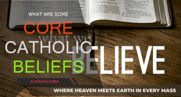 Catholic Fundamentals: Core Beliefs Explored