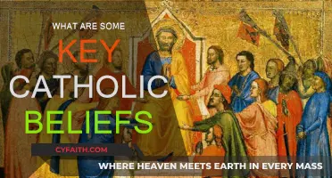 Exploring Core Catholic Beliefs: Understanding the Faith's Fundamentals