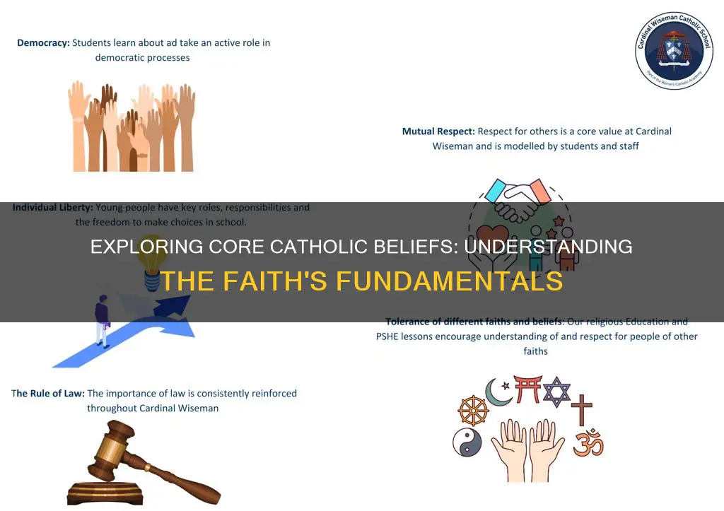 what are some key catholic beliefs