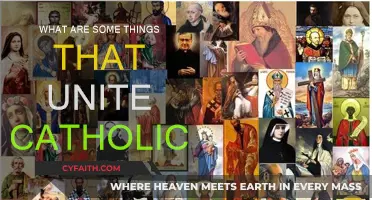 Unifying Catholics: Common Bonds and Shared Faith