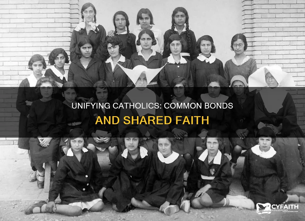 what are some things that unite catholics