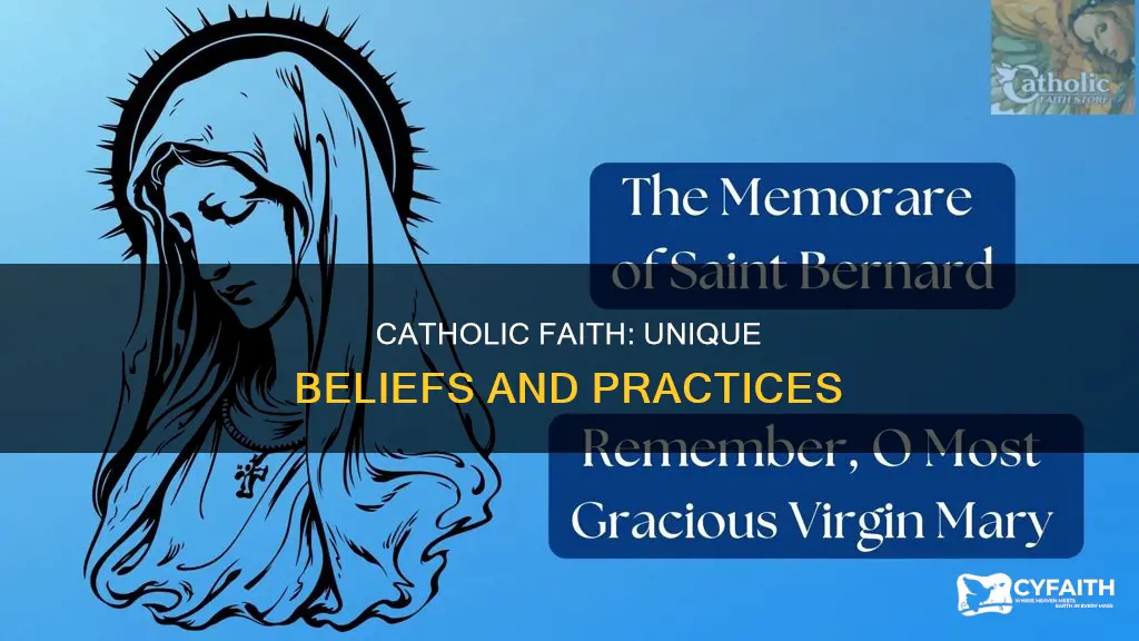 what are some unique catholic beliefs