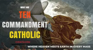 Understanding the Ten Commandments in Catholic Faith and Practice