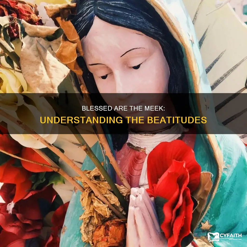 what are the 10 beatitudes catholic