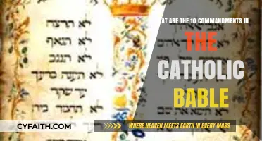 Understanding the Sacred: The Ten Commandments in Catholic Tradition