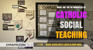 Catholic Social Teaching: 10 Core Principles for Faith and Justice