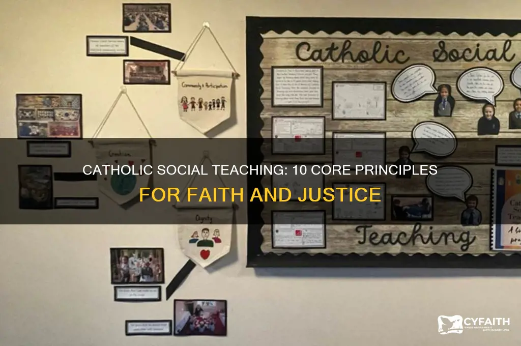 what are the 10 principles of catholic social teaching