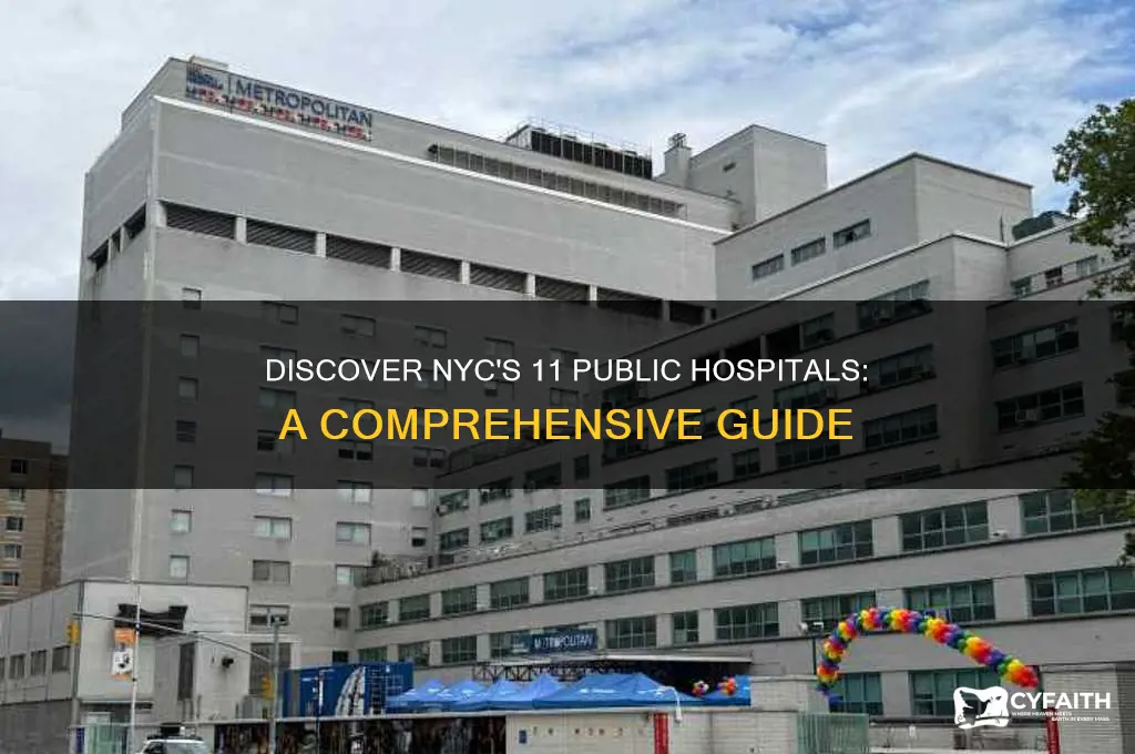 what are the 11 public hospitals in nyc